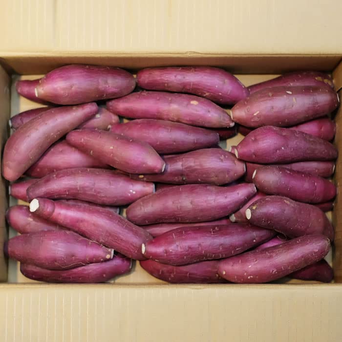 Amazon.co.jp: 千葉県産（JAかとり）さつまいも 紅はるか 秀品 Sサイズ